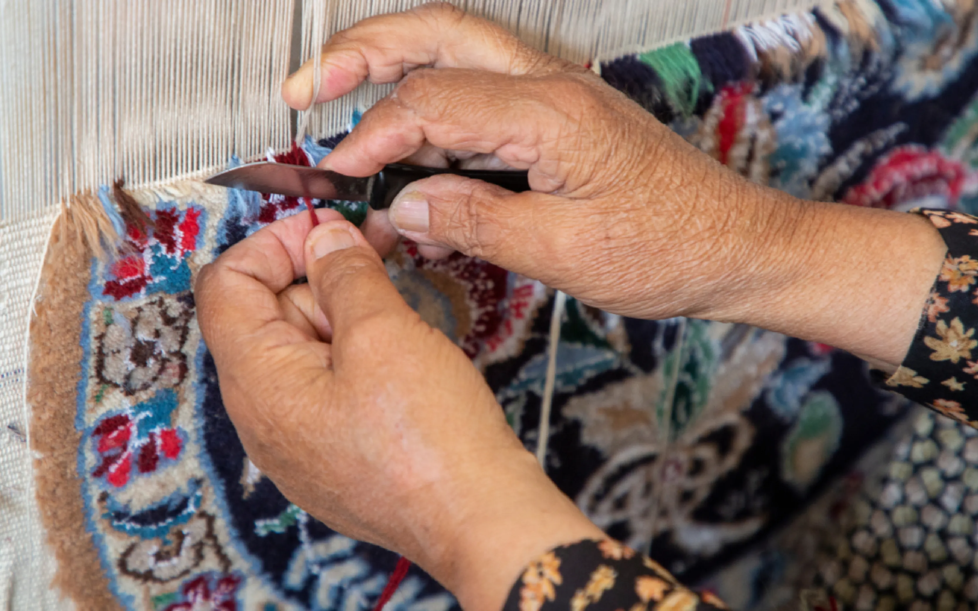 carpet cleaning in NYC, carpet cleaning in new york, carpet cleaning NYC, carpet cleaners in NYC, carpet cleaners in new york, commercial carpet cleaning, commercial carpet cleaning in NYC, NYC rug cleaners, rug cleaning services in NYC, same day carpet cleaning, same day rug cleaning