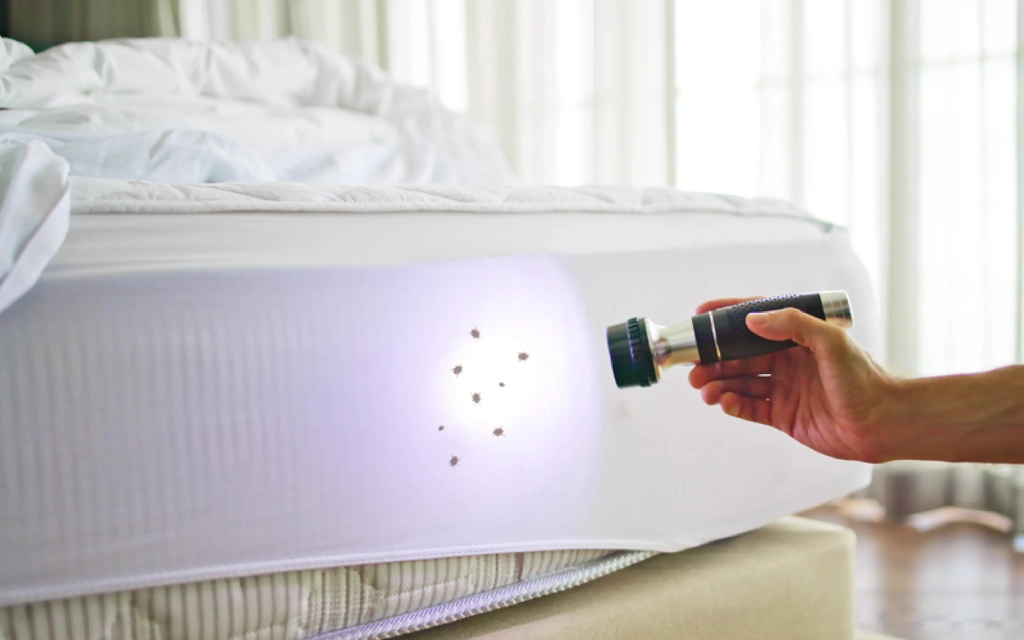 carpet cleaning in NYC, carpet cleaning in new york, carpet cleaning NYC, carpet cleaners in NYC, carpet cleaners in new york, commercial carpet cleaning, commercial carpet cleaning in NYC, NYC rug cleaners, rug cleaning services in NYC, same day carpet cleaning, same day rug cleaning