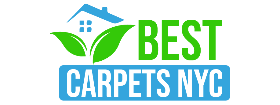 carpet cleaning in NYC, carpet cleaning in new york, carpet cleaning NYC, carpet cleaners in NYC, carpet cleaners in new york, commercial carpet cleaning, commercial carpet cleaning in NYC, NYC rug cleaners, rug cleaning services in NYC, same day carpet cleaning, same day rug cleaning